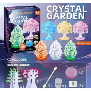 Ստեղծագործական հավաքածու բյուրեղյա կախարդական ծառ