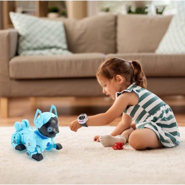 Ինտերակտիվ Ռոբոտ-Շուն «Dog Robot Controll»
